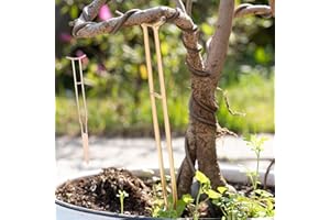 GOOOXIM 3PCS Plant Support Stakes – Durable Gold Metal Supports for Monstera, Philodendron & More - Ideal Trellis Structures for Indoor & Outdoor Gardening - Perfect for Small to Tall Plants