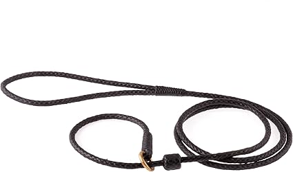 thin slip leads for dogs