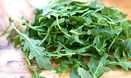 FLORICULTURE GREENS Rocket Arugula 100% Organic F1 Hybrid Herb Seeds Pack
