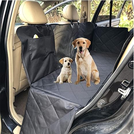 amazon siege auto chien