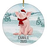 Santa Hat and Scarf Welcome Winter Happy Pink Pig