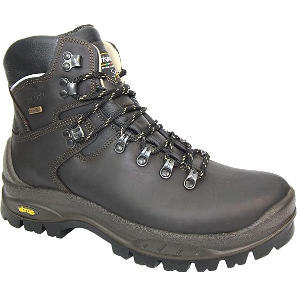 うーたん Amazon.com | Zamberlan Women's 996 Vioz GT Hiking Boot,Dark Brown