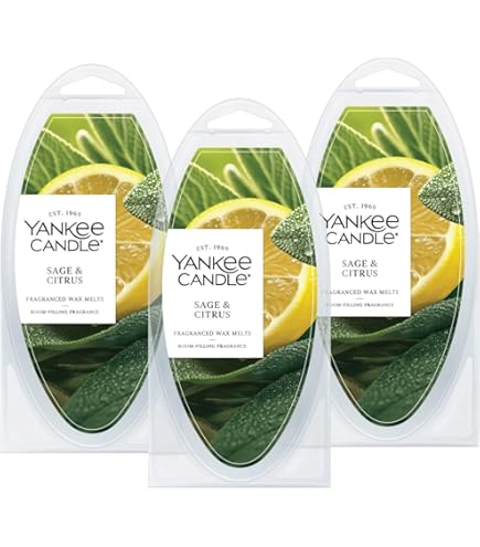 Amazon.com: Yankee Candle Sage & Citrus Scented, Classic 7oz Small