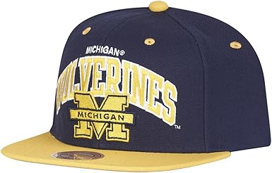 mitchell and ness caps uk