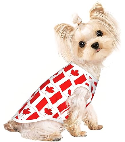 Custom Pet Hockey Portrait Montreal Canadiens Jersey Pet