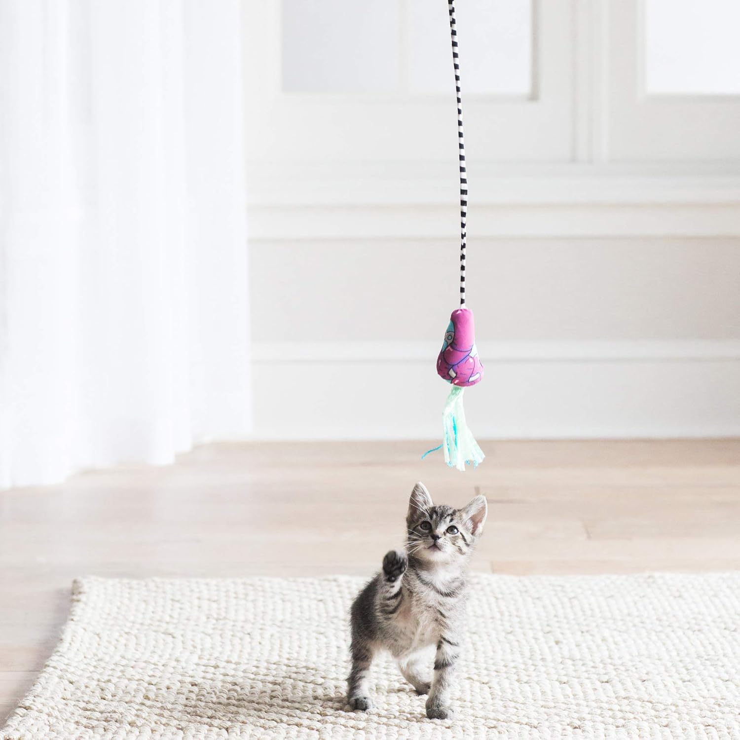 Petmate Fat Cat Catfisher Teasers Cat Toy, Tadpole Wand : Pet Supplies
