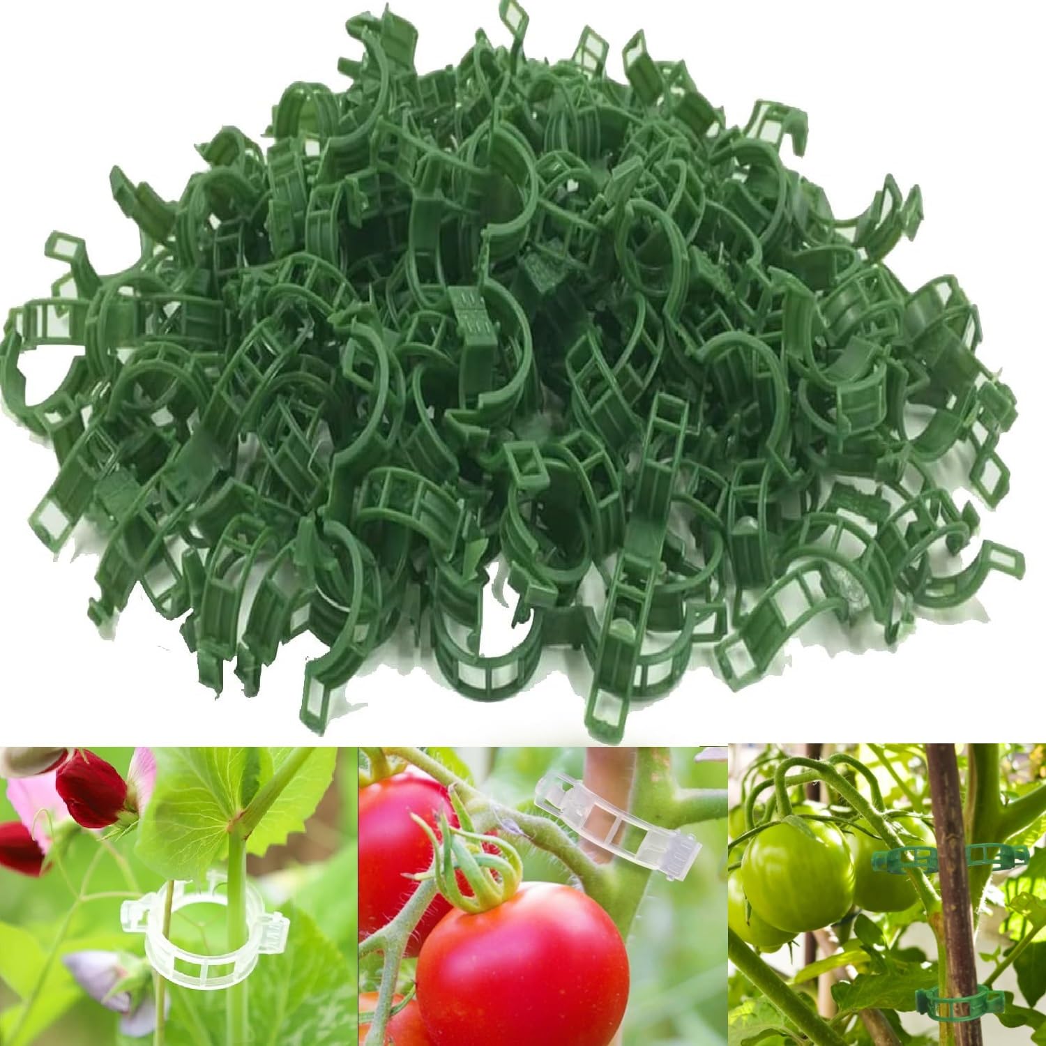 100PCS Plant Support Clips, Plant Clips for Climbing Plants, Reusable Garden Clips for Plant Tomato Vines, Garden Cane Connectors Fastening Clip Grafting Tools (Green)