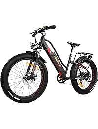 Addmotor MOTAN Electric Bicycle Step Thru Comfort Fitness Bike 26 inch Fat Tire Full Suspension 500W Motor Mountain Electric Bike 2018 M-450 Commuter E-Bike