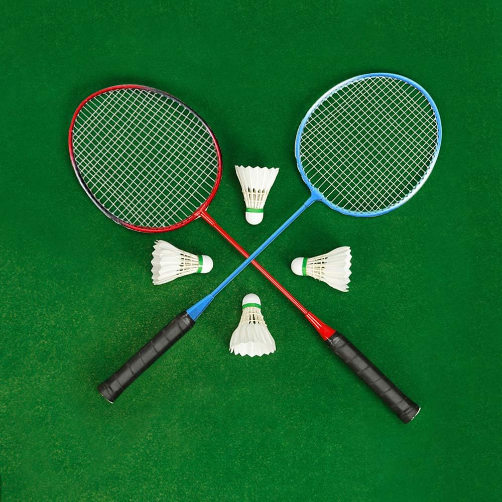 Roeam Outdoor Sport Badminton Rackets Badminton Set 2 Player Badminton Racket Set Indoor Outdoor Sports Adults, Children Practice Badminton Racquet with Cover Bag: Home & Kitchen