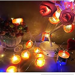 LEKIBOP Fruit String Lights Battery Powered Indoor