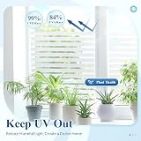 DOWELL Window Film Privacy 75x400cm Stripes Non Adhesive UV Protection view 6