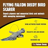 The Big Cheese Flying Falcon Decoy: Wind-Action Bird Deterrent 21in Wingspan view 2