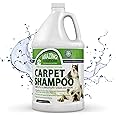 Amaziing Solutions Pet Carpet Shampoo - Carpet Cleaner Solution for Carpet Cleaner Machine, Urine Smell & Stain Remover, Pet Urine Enzyme Cleaner, Carpet Shampoo Solution, Carpet Shampooer, 1 Gallon