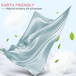 Mulberry Silk Pillow Cases King Size with Hidden