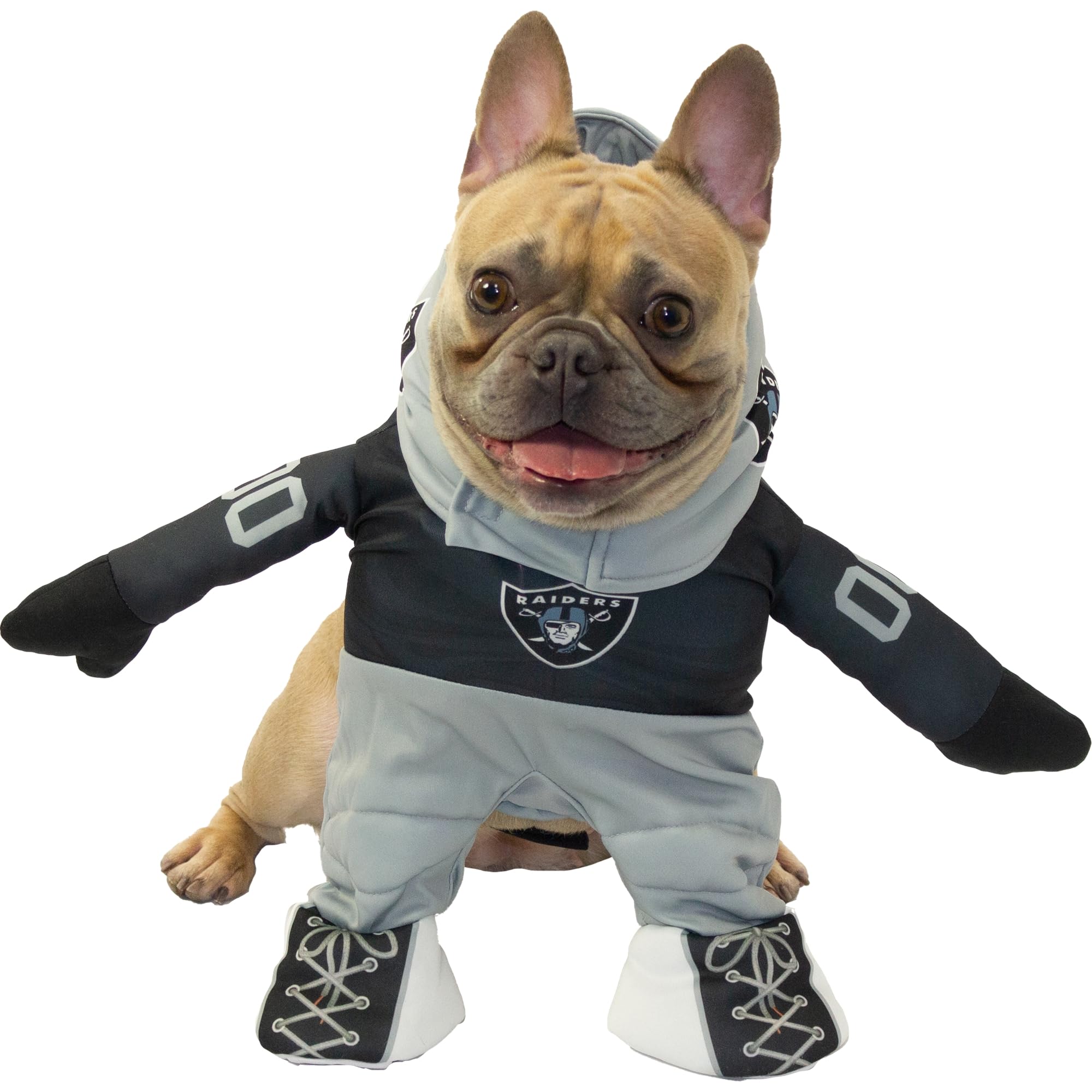 Photo 1 of ***** I NEEDS A wash ****NFL LAS Vegas Raiders Officially Licensed Running Dog Costume by MODERN HERO Includes 2 pc Set - Bodysuit and Hat (Black, Large, Las Vegas Raiders)