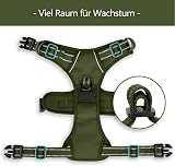 PoyPet No Pull Dog Harness Reflective Easy Control Front Back D Ring Army Green view 5