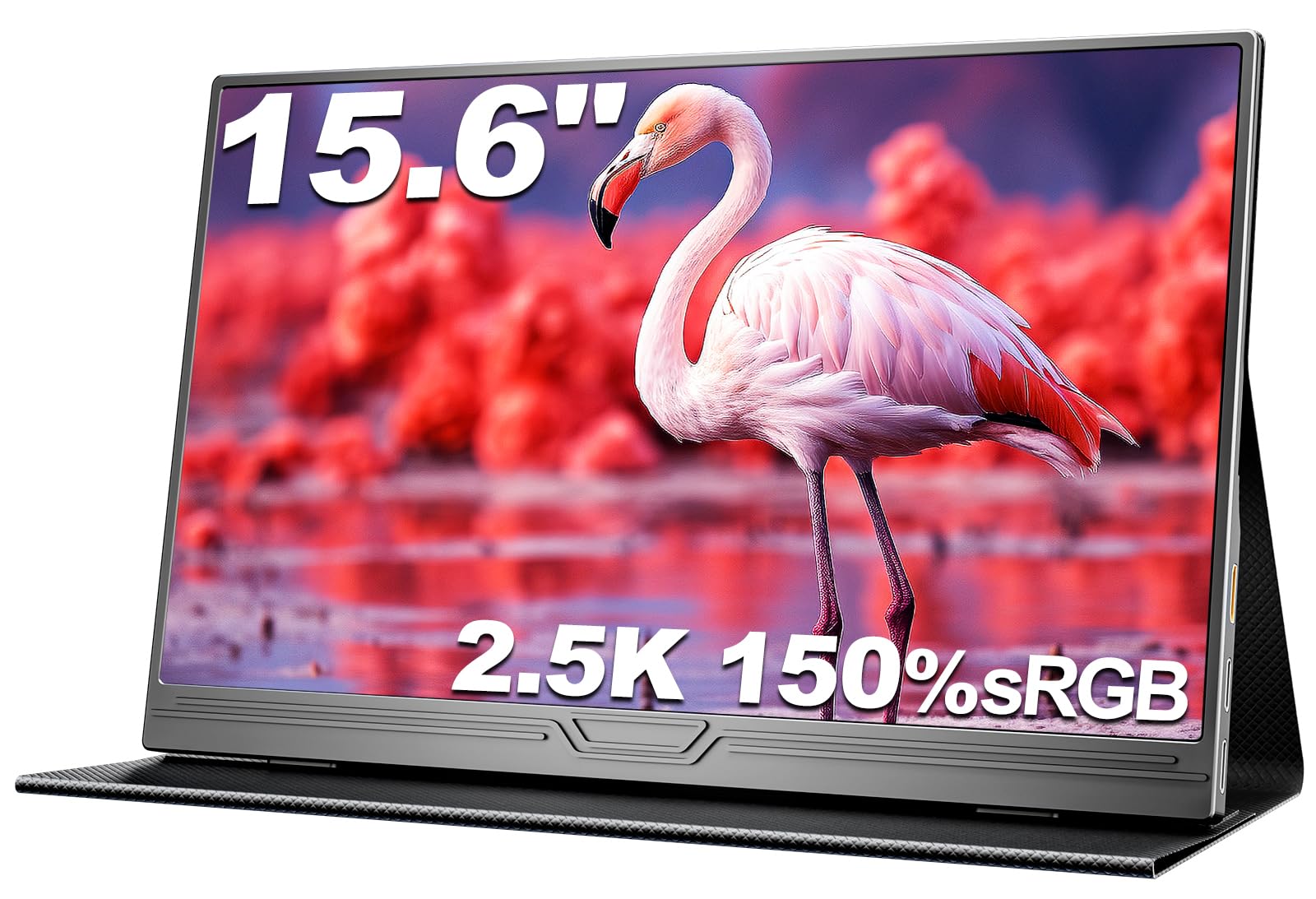 15.6 Inch Portable Monitor 2.5K - QHD 2560x1440 IPS, 500 Nits, 150% sRGB, HDR, USB-C/HDMI, Eye-friendly, Second Screen for Mac, Laptop, Mobile Phone, PC, PS5, Xbox with Smart Case