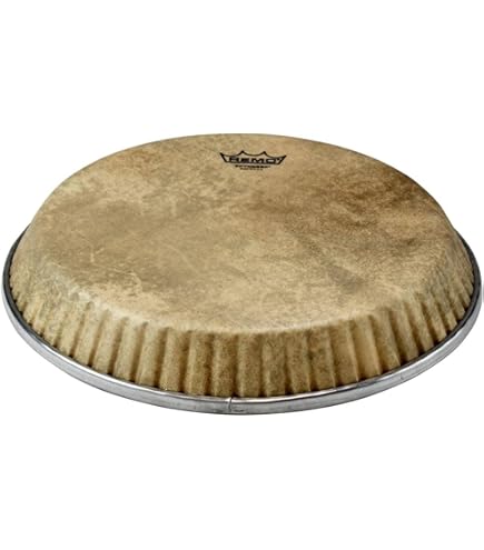 Amazon.com: Remo Symmetry Skyndeep Conga Drumhead - Calfskin