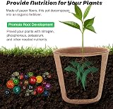Aileem 40pk Round Fibre Seedling Pots 8cm Biodegradable Plant Starter Tray Kit view 5