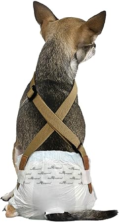male dog wrap with suspenders