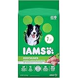 iams offers