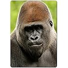 Big gorilla fridge magnet