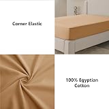 My Home Store Fitted Sheet 100% Egyptian Cotton 300TC Beige Double view 4