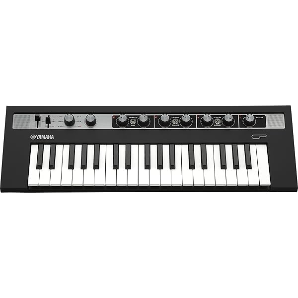 Amazon.com: Yamaha REFACE BAG Padded Soft Case : Musical Instruments