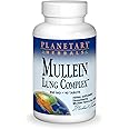 Planetary Herbals Mullein Lung Complex 90 Tablets