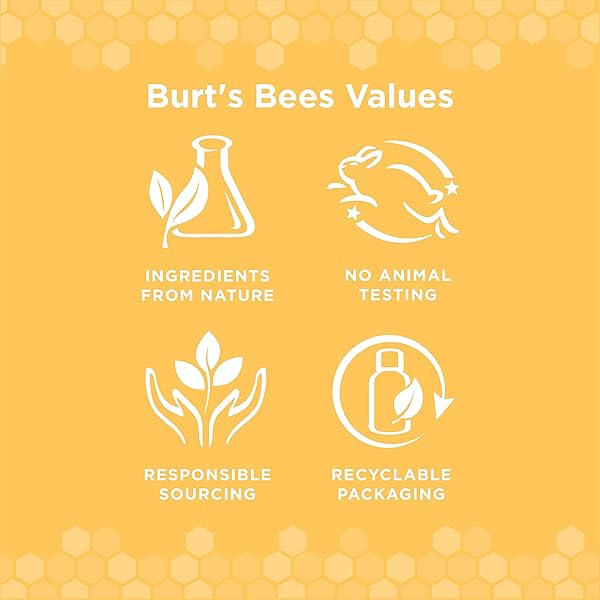 BURT’S BEES FOR PETS NATURALLY DERIVED ORAL CARE KIT DOG DENTAL KIT WITH TOOTHPASTE & BAMBOO TOOTHBRUSH DOG TOOTHBRUSH AND TOOTHPASTE WITH HONEYSUCKLE & PEPPERMINT OIL, FRESH MINT FLAVOR (2.5 OZ)