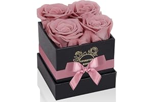 UFOREVER ROSES Preserved Roses in a Box Mothers Day Valentines Day Gifts for Her, Real Roses That Last a Year and More, Eternal Roses for Her, Christmas Day, Birthday Anniversary Day (Small, Dusty Pink)