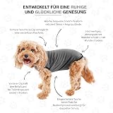 BellyGuard Recovery Suit for Dogs Post Op Spay Neuter Onesie view 5