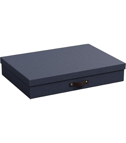 Amazon.com: Bigso Sverker Fiberboard Legal and Art Storage Box