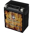 Pirate Battery YB14A-A2 Conventional Replacement Battery for ATV, Motorcycle, Personal Watercraft, and Snowmobile: 12 Volts, 1.4 Amps, 14Ah, Nut and Bolt (T3) Terminal