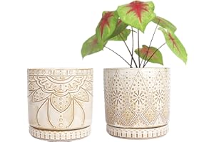 YFFSRJDJ 6 Inch Indoor Plant Pots with Drainage Holes and Saucers, Ceramic Planter for Plants, Flower Pot - Set of 2
