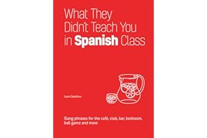 What They Didn't Teach You in Spanish Class: Slang Phrases for the Café, Club, Bar, Bedroom, Ball Game and More (Dirty Everyd