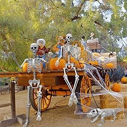 UMEELR 5.4FT Halloween Skeletons, Full Size