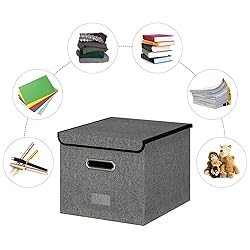 Forlogic File Organizer Box with Lid, Collapsible