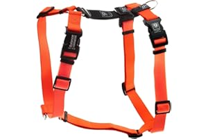 Blue-9 Buckle-Neck Balance Harness, Fully Customizable Fit No-Pull Harness, Ideal for Dog Training and Obedience, Made in The USA, Orange, Medium/Large