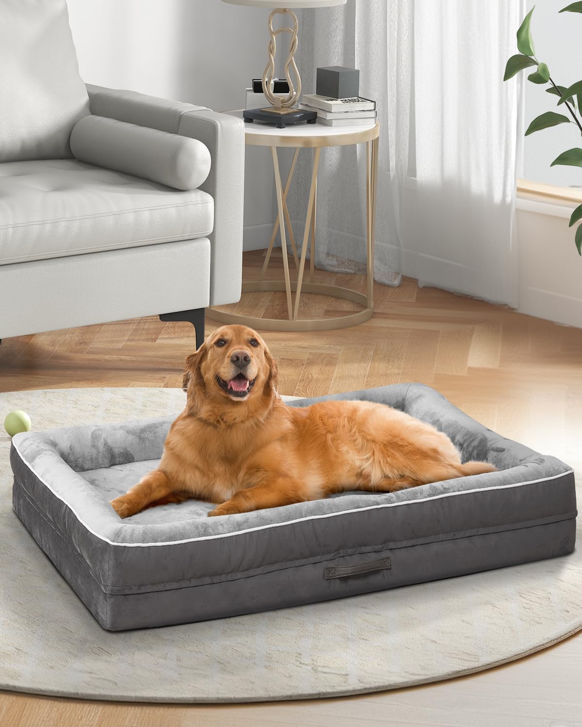 Orthopedic Dog Bed