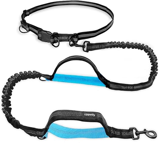 retractable waist leash