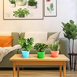 KINGLAKE 8Pcs 17cm Plastic Plant Pots with Trays Colorful Indoor Outdoor view 6