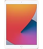 Amazon.com : Apple iPad (10.2-inch, Wi-Fi + Cellular, 128GB