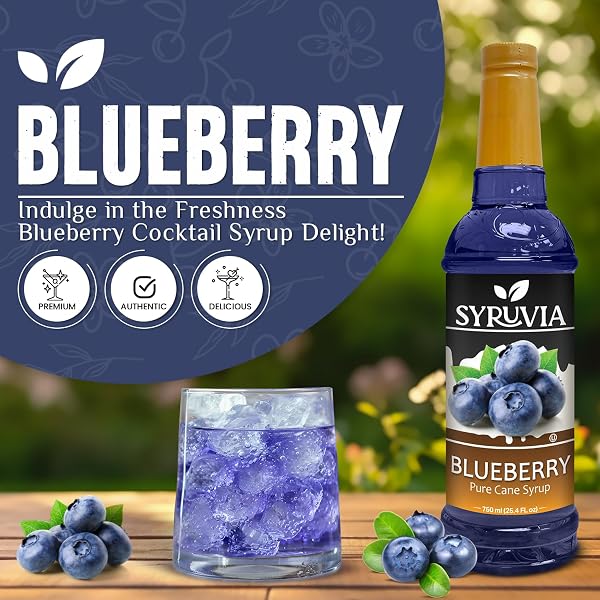 SYRUVIA BLUEBERRY SYRUP FOR DRINKS 25.4 OUNCES BLUEBERRY FLAVORING SYRUP WITH PUMP