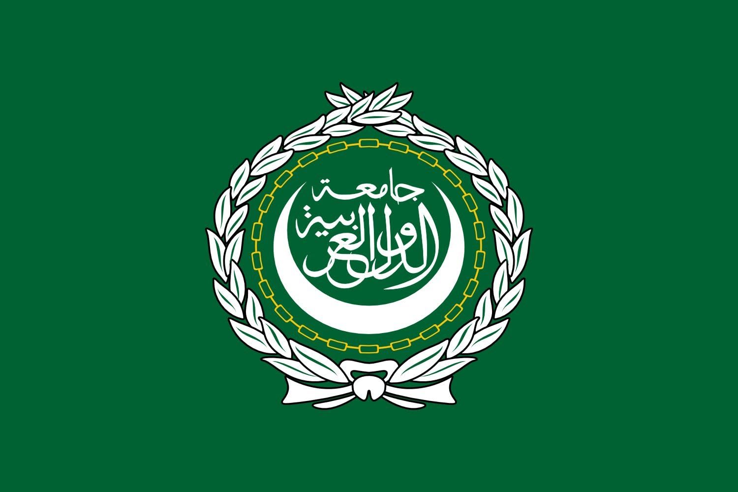 magFlags Drapeau Large Arab League A green flag with a white