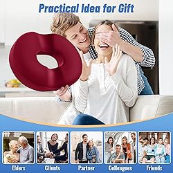 CloudBliss Donut Pillow Seat Cushion Chair Pad for