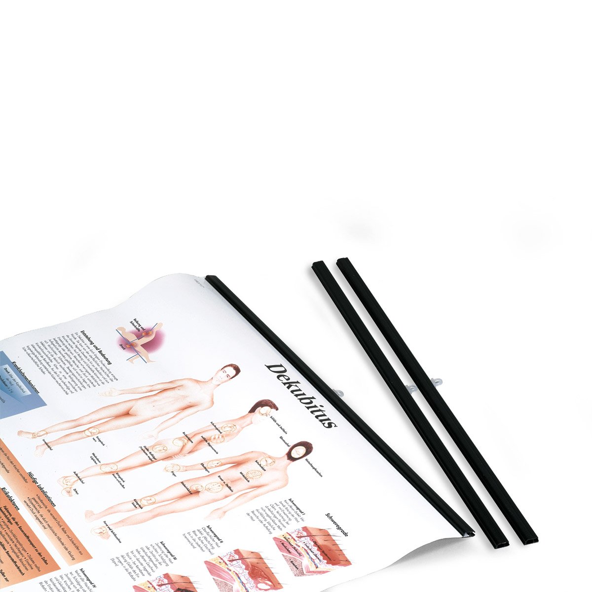 3B Scientific VR999B Bestäbung for Educational Chart, Black (Pair) (Pack of 2)