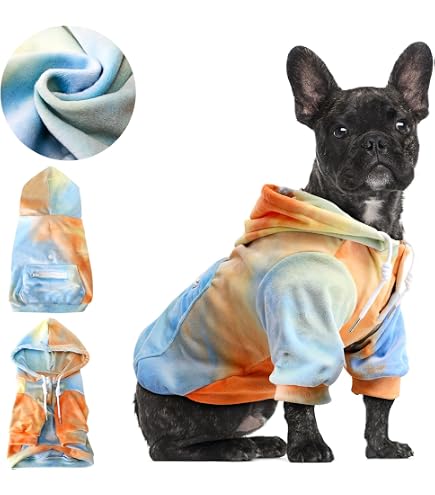 Dachshund Basic Hoodie With Striped Sleeves Xxs