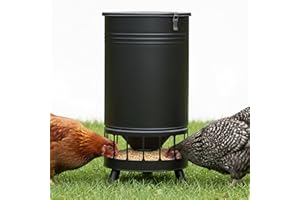 SOLUTION4PATIO EXPERT IN GARDEN CREATION Solution4Patio 65 LB Large Chicken Feeder No-Waste, Portable Gravity Chicken Feeder Automatic, Dispenser, 16 Feeding Ports Poultry Feeder, Hen Coop (Black)
