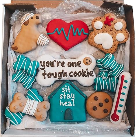 Amazon Com Wufers Get Well Soon Handmade Hand Decorated Dog